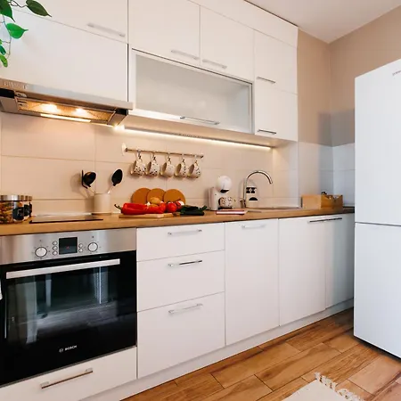 Bright Harmony Wtih Balcony Old Town Renovated *