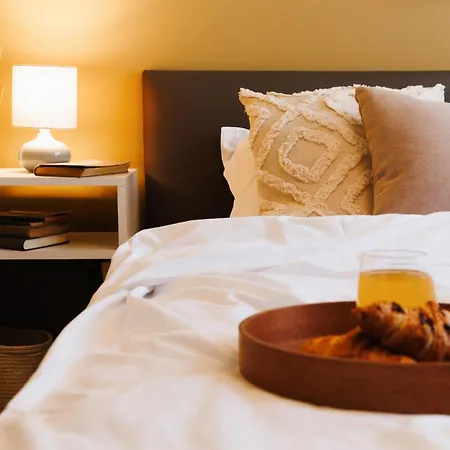 Bright Harmony Wtih Balcony Old Town Renovated בלגרד