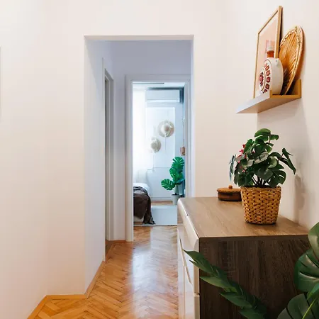 Bright Harmony Wtih Balcony Old Town Renovated * ベオグラード